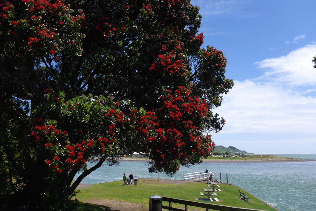 Ocean View Raglan Bed & Breakfast Eksteriør bilde