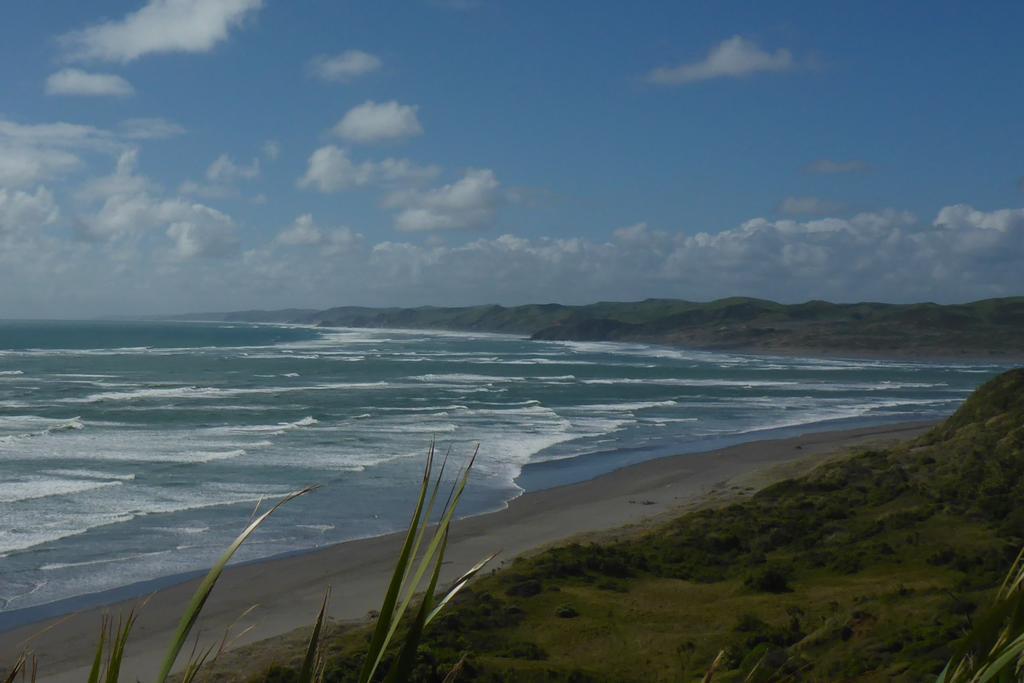 Ocean View Raglan Bed & Breakfast Eksteriør bilde