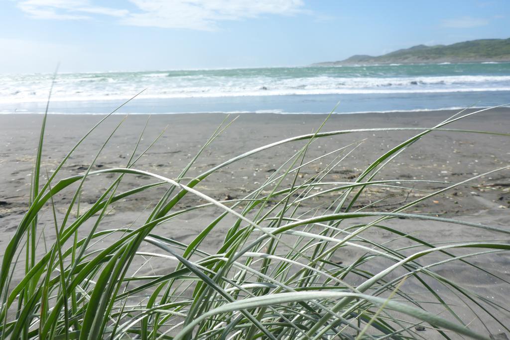 Ocean View Raglan Bed & Breakfast Eksteriør bilde